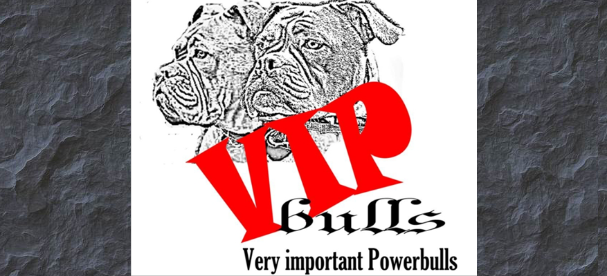 VIP-Bulls