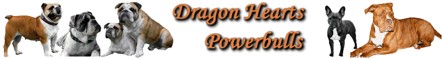 Dragon-Hearts-Powerbulls